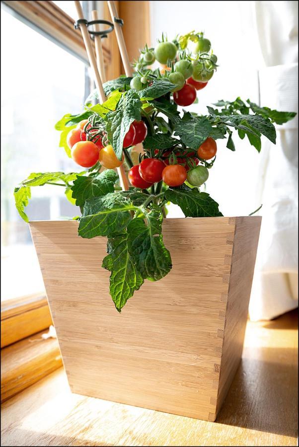 Markt Eins Gaestezimmer Schoppenstedt المظهر الخارجي الصورة